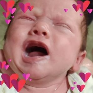 Meet your Posher, Donald